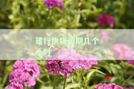 建行快贷逾期几个小时会怎么样，建行快贷逾期几小时会产生哪些后果？