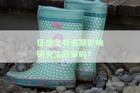 征信上有逾期影响研究生政审吗，逾期记录是否会影响研究生政审？——从征信角度解析