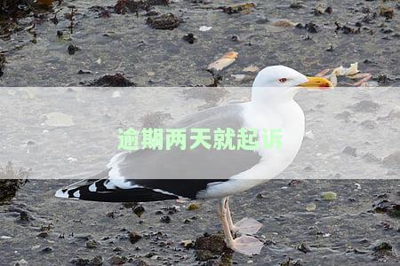 逾期两天起诉吗，逾期两天是否会被起诉？你需要了解的关键信息