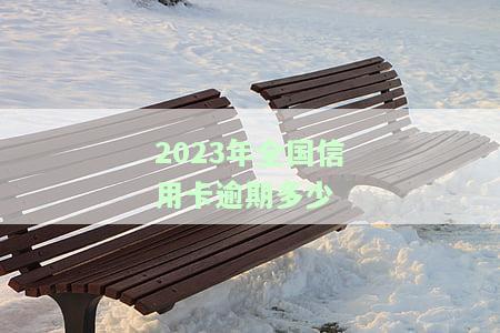2023年全国信用卡逾期多少天，揭示2023年全国信用卡逾期情况：逾期天数统计分析