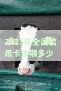 2023年全国信用卡逾期多久上征信？了解最新规定