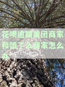 花呗逾期后无法使用购物？解决办法在这里！