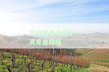工行信用卡逾期一天的违约金是多少？逾期影响及后果详解
