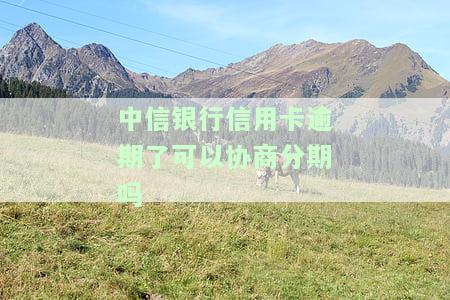 中信银行贷款逾期：可以协商分期付款吗？最多分多少期？逾期半年能否商量还款？