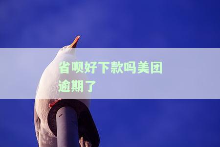 省呗逾期了？第一时间要做的是这件事！解决方案在此！