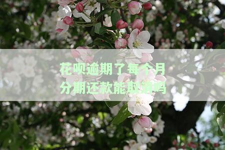 花呗分期逾期后分月还款是否需要还全款？影响征信吗？