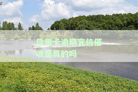 信用卡逾期宜信催收真实性待查，如何有效投诉？