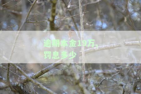 本金逾期罚息计算公式及合法性解析