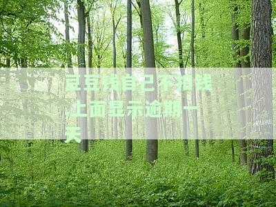 豆豆钱不扣款，让我逾期会不会上征信？不主动扣款导致逾期产生的费用如何处理？豆豆钱故意不扣款或扣款怎么办？扣款了但还显示逾期会有电话催收吗？为何豆豆钱扣款后仍无法还款？