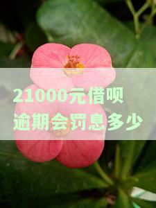 21000元借呗逾期会罚息多少钱，警惕！21000元借呗逾期将面临高额罚息