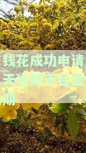 有钱花申请期还款成功后是否仍有催收电话？申请流程及安全性解析