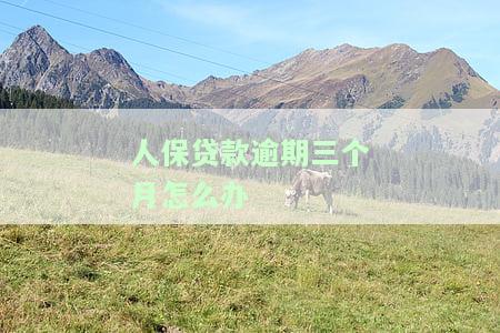 人保贷款逾期三个月怎么办？影响再贷款及被起诉风险解析
