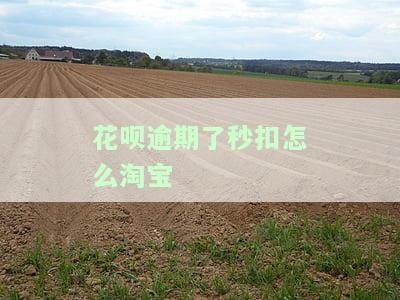 花呗逾期了秒扣怎么淘宝还不了，解决花呗逾期秒扣问题：为何淘宝无法还款？