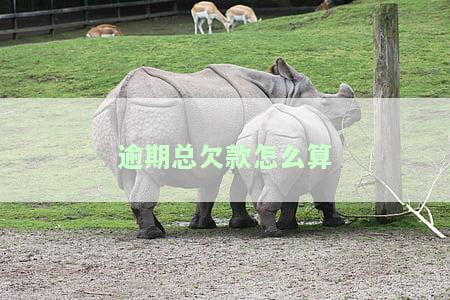 逾期怎么计算，逾期还款计算器：轻松计算逾期费用