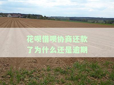 蚂蚁借呗协商还款成功了，恭喜！您的蚂蚁借呗协商还款申请已成功通过！