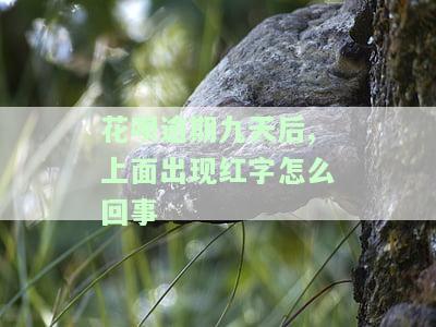 花呗逾期九天后，上面出现红字是什么原因？现已还款，如何恢复正常使用？