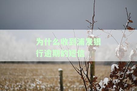 为什么收到浦发银行逾期的短信通知，为何收到浦发银行逾期短信通知？原因解析
