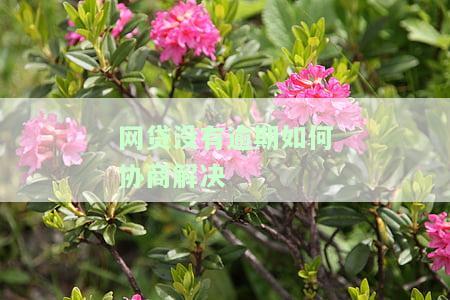 网贷没有逾期如何协商解决-网贷没有逾期如何协商解决问题