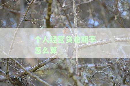 个人经营贷逾期率如何计算及影响，预警线是什么？