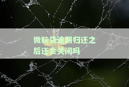 微粒贷逾期后还清了多久能恢复使用资格，如何恢复微粒贷使用资格？逾期还清后的等待时间解析