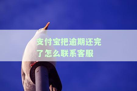 支付宝逾期已还，你的支付宝逾期已经还款，信誉记录将得到恢复！