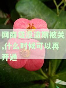 网商贷没逾期被关闭,还款了能不能再开，网商贷关闭后还能重新开通吗？未逾期已还款的情况解析