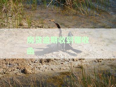 房贷逾期收到催收函