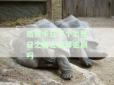 信用卡在下个出账日之前还款算逾期吗-信用卡在下个出账日之前还款算逾期吗