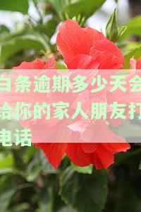 白条逾期多少天会给你的家人朋友打电话呢，警惕！白条逾期多久会通知家人和朋友？