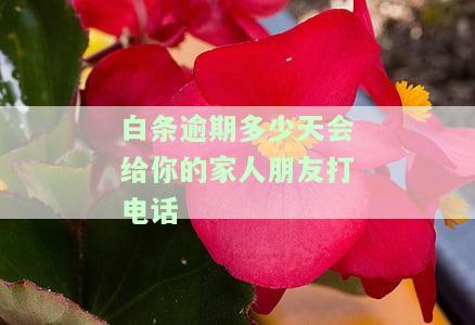白条逾期几天会给家里和朋友打电话，警惕！白条逾期几天，你可能需要面对这些后果