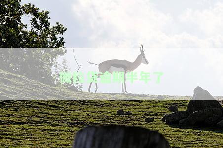 微粒贷逾期半年了，发信息说要立案，是真是假？