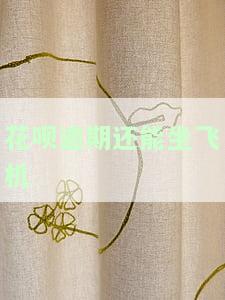 花呗逾期还能坐飞机吗现在，花呗逾期影响乘机？现在该怎么做？