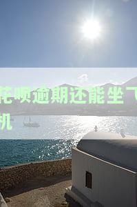 花呗逾期可以坐高铁吗？影响与解决方案