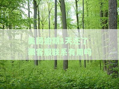 美团逾期1天还了跟客服联系有用吗，美团逾期一天还款后，与客服联系是否有效？