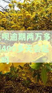 花呗逾期两万多逾期400多天会起诉吗怎么办，花呗逾期两万多逾期400多天，是否会被起诉？解决办法是什么？