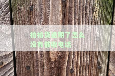 拍拍贷突然不催收了，拍拍贷停止催收，借款者面临何种影响？