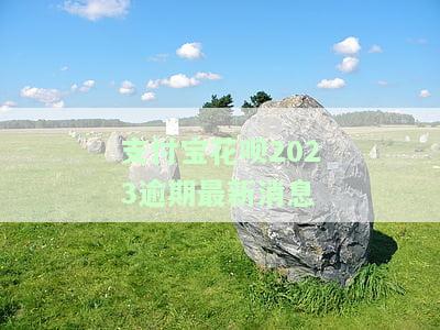 现在支付宝花呗逾期多久会上征信多久可以消除，如何查询支付宝花呗逾期记录？逾期多久会影响个人信用并需要多长时间才能消除？