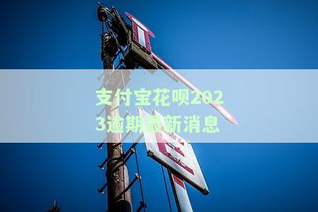 支付宝花呗2023逾期最新消息