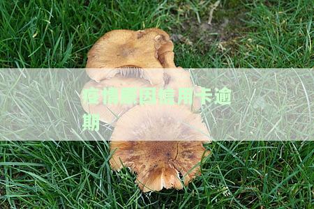 疫情原因信用卡逾期证明，因疫情导致信用卡逾期，需要提供相关证明