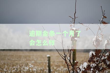 金条逾期一个月上征信吗，逾期一个月的金条会否影响您的征信记录？