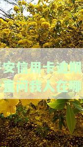 平安信用卡逾期了一直问我人在哪还款，平安信用卡逾期未还，为何一直询问我的位置？