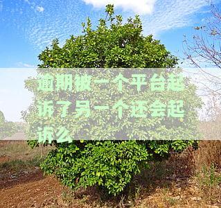 如果在一个平台逾期了,能重新贷款吗，逾期后还能在该平台再次贷款吗？答案在这里！