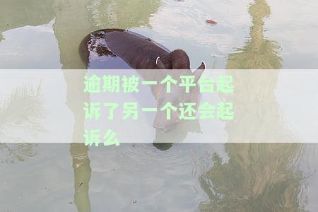 逾期被一个平台起诉了另一个还会起诉么