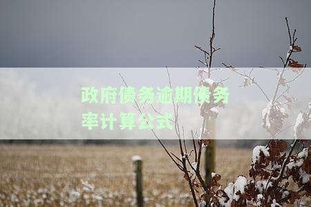 政府债务逾期债务率计算公式为，理解政府债务：逾期债务率的计算公式解析