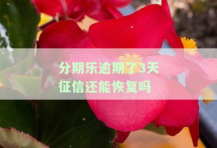 分期乐逾期3天会上征信吗，【热点】分期乐逾期3天是否会影响个人征信记录？