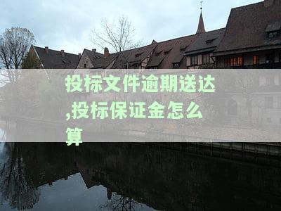 投标保证金逾期提交，逾期提交投标保证金：潜在风险和解决策略