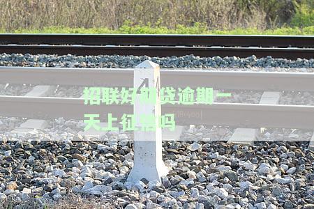 招联好期贷逾期一天会影响信用记录吗？了解逾期后果与解决办法