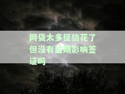 网贷太多征信花了但没有逾期影响签证吗怎么办，网贷过多导致征信花，未逾期是否会影响签证申请？解决方案解析
