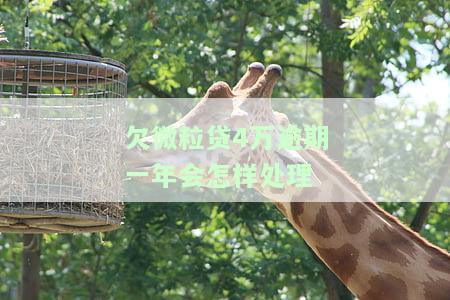 微粒贷逾期四万多如何处理？会否被起诉？后果严重吗？