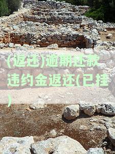(返还)逾期还款违约金返还(已挂)-逾期还款违约金返还是什么意思